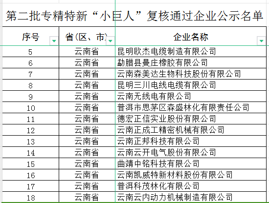 云南省第五批專精特新“小巨人”企業(yè)和第二批專精特新“小巨人”復(fù)核通過企業(yè)(圖2)