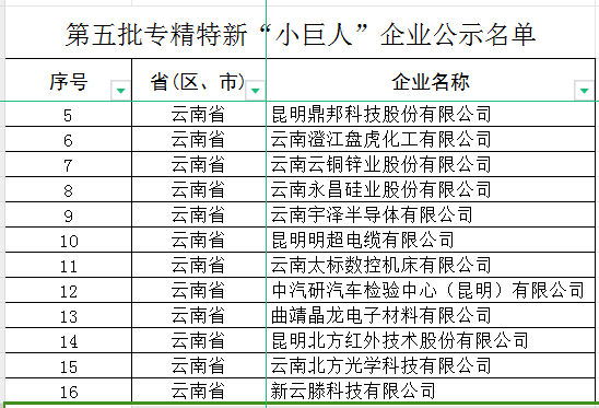 云南省第五批專精特新“小巨人”企業(yè)和第二批專精特新“小巨人”復(fù)核通過企業(yè)(圖1)