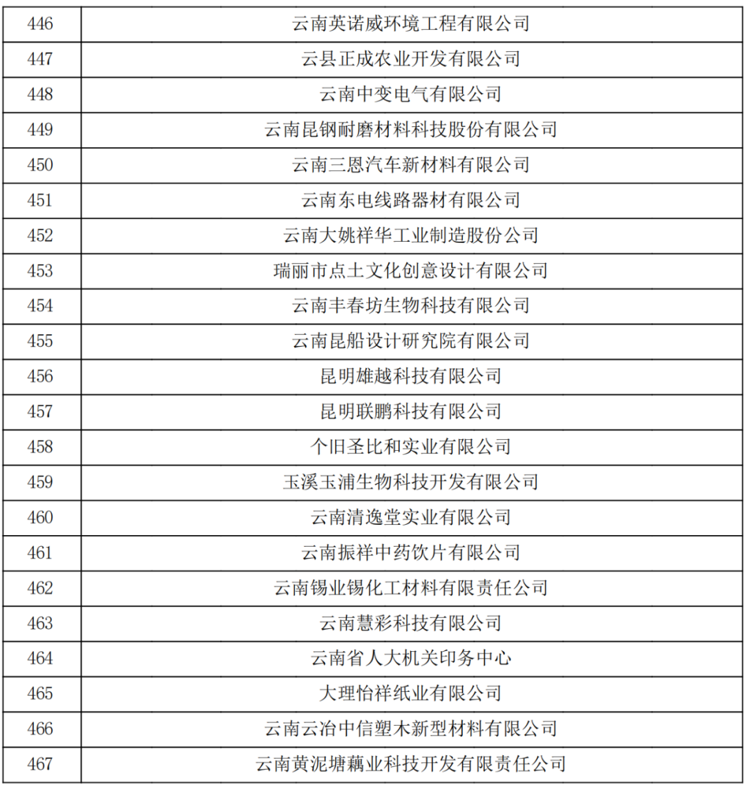 云南省2023認定報備的第一批高新技術企業(yè)(圖16) 云南省2023認定報備的第一批高新技術企業(yè)(圖16)