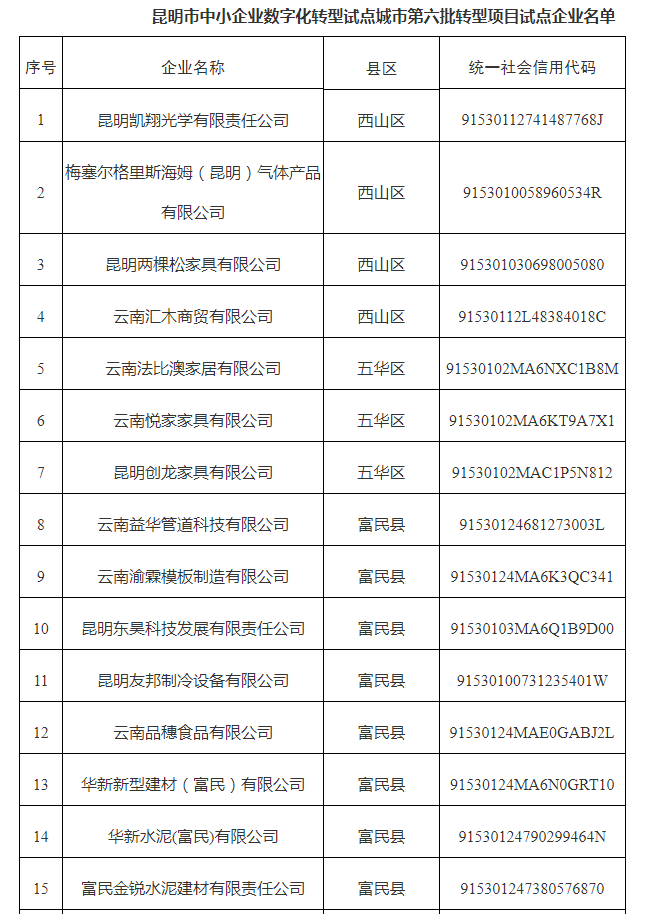 市中小企業(yè)數(shù)字化轉(zhuǎn)型試點(diǎn)城市第六批名單(圖1)